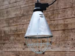 Volaille Chaleur Lampe 100-300W 220V Lampe Chauffante Poussin Lampe  Chauffante Poulailler pour la Chaleur de
